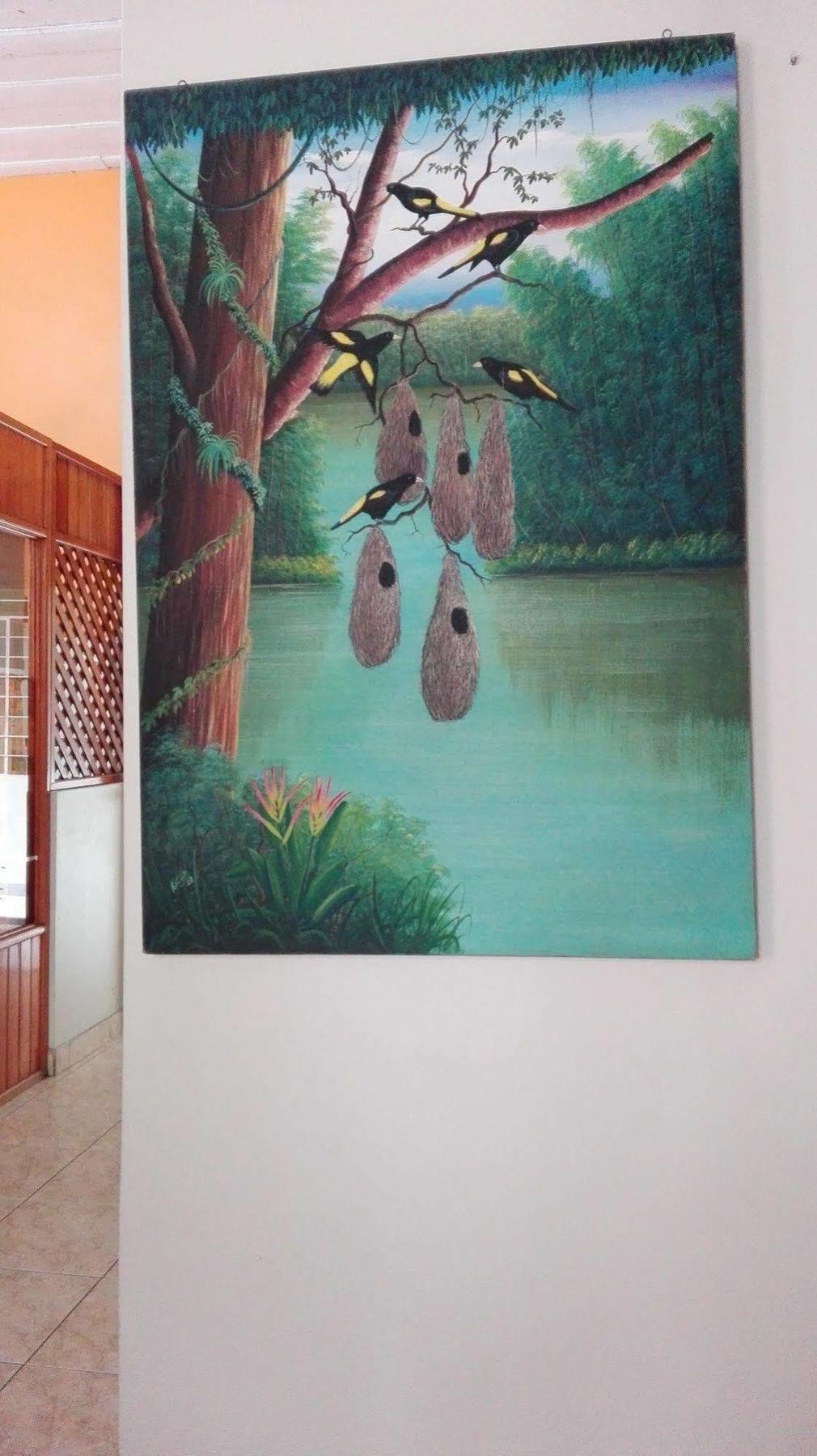 Hostal El Colibri Iquitos Exterior photo