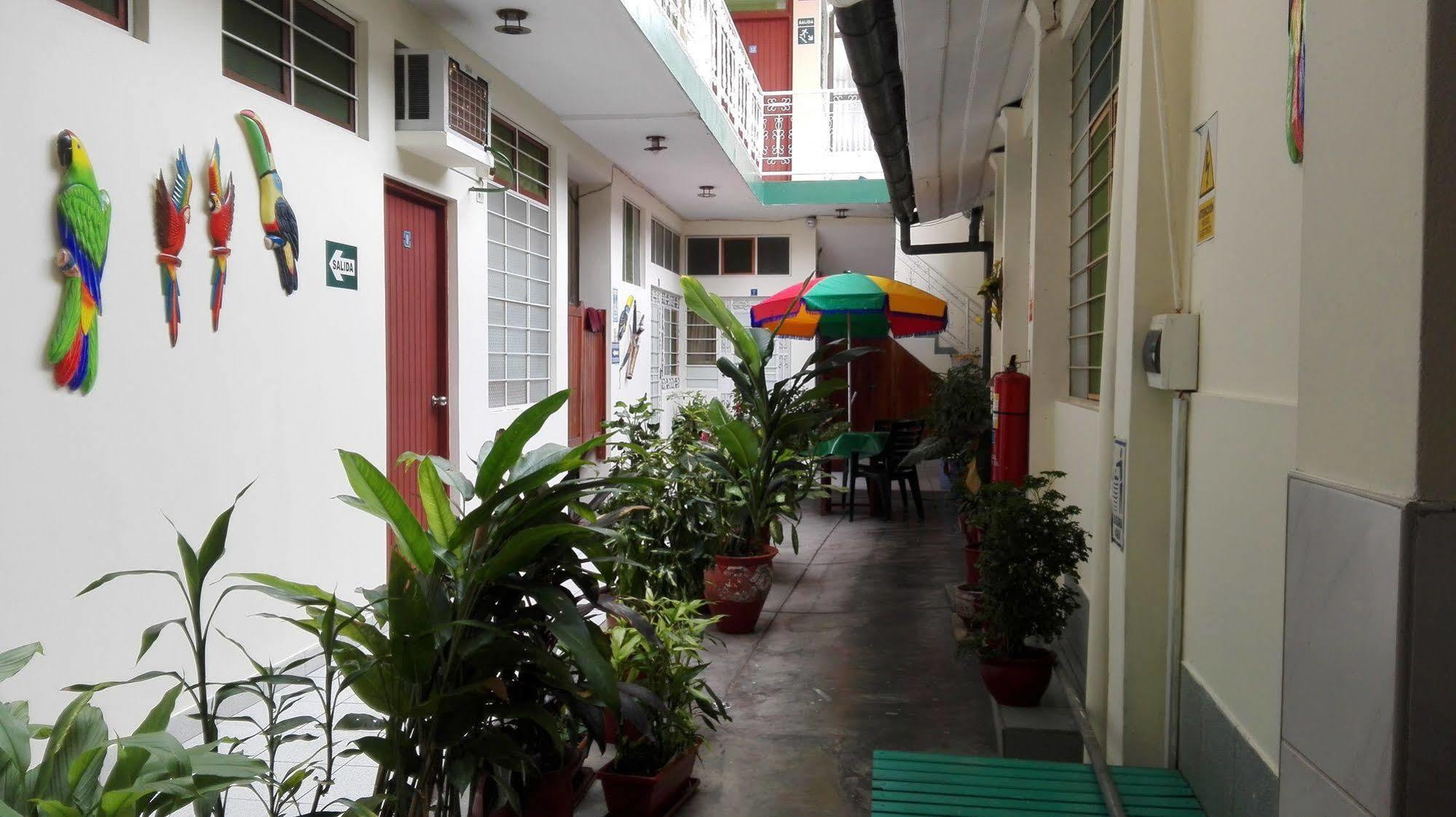 Hostal El Colibri Iquitos Exterior photo